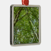 Kanopie van de groene Natuur van voorjaarsbladeren Metalen Ornament (Rechts)