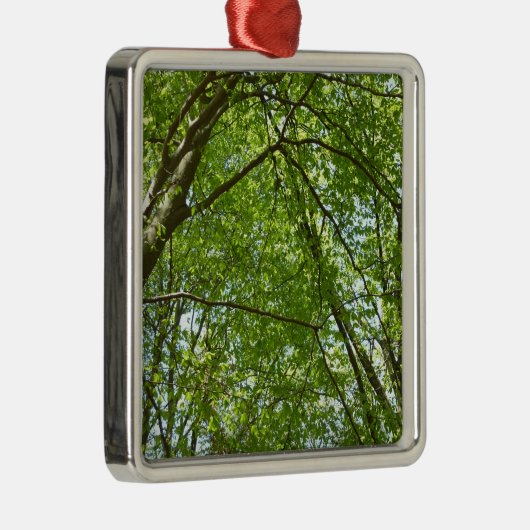 Kanopie van de groene Natuur van voorjaarsbladeren Metalen Ornament (Rechts)