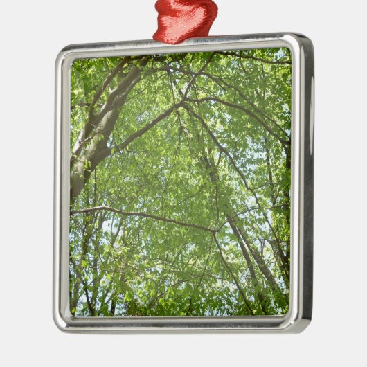 Kanopie van de groene Natuur van voorjaarsbladeren Metalen Ornament (Links)