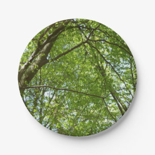 Kanopie van de groene Natuur van voorjaarsbladeren Papieren Bordje