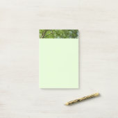 Kanopie van de groene Natuur van voorjaarsbladeren Post-it® Notes (Op bureau)