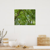 Kanopie van de groene Natuur van voorjaarsbladeren Poster (Keuken)
