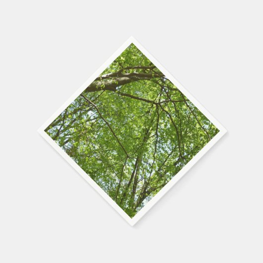 Kanopie van de groene Natuur van voorjaarsbladeren Servetten (Hoek)