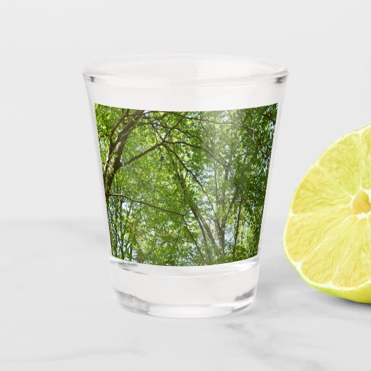 Kanopie van de groene Natuur van voorjaarsbladeren Shot Glas (Voorkant)