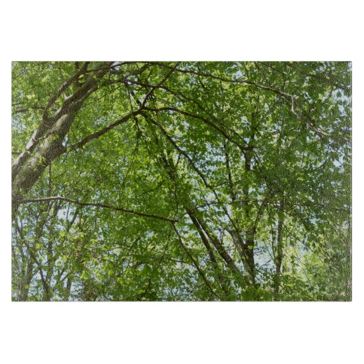 Kanopie van de groene Natuur van voorjaarsbladeren Snijplank (Voorkant)