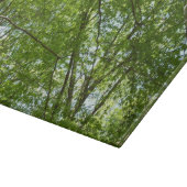 Kanopie van de groene Natuur van voorjaarsbladeren Snijplank (Hoek)