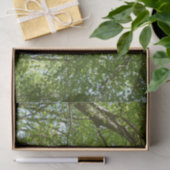 Kanopie van de groene Natuur van voorjaarsbladeren Tissuepapier (Geschenk)