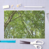 Kanopie van de groene Natuur van voorjaarsbladeren Tissuepapier (Craft)