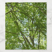 Kanopie van de groene Natuur van voorjaarsbladeren Wijn Etiket (Enkel label)