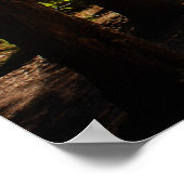 Kano's bij Klaar Poster (Hoek)