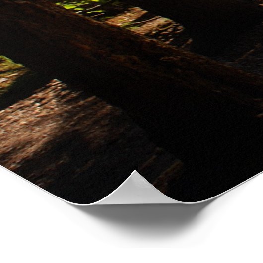 Kano's bij Klaar Poster (Hoek)