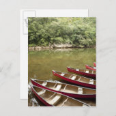 Kanovaren op de Macal River, Belize Briefkaart (Voorkant / Achterkant)