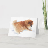 KANS DIE DE KAART VAN DE ENGELEN VAN DE SNEEUW (Voorkant)