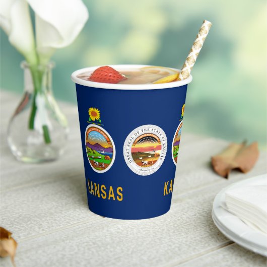 Kansan Flag & Seal, Flag of Kansas Papieren Bekers (Insitu)