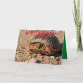 Kansas Box Shell Turtle Birthday Wenskaart Kaart (Voorkant)