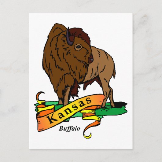 Kansas Buffalo Briefkaart (Voorkant)