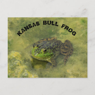 Kansas Bull Frog shot KAART POST