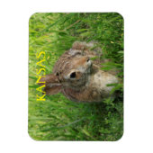 Kansas Bunny Rabbit Magneet (Verticaal)