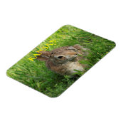 Kansas Bunny Rabbit Magneet (Linkerzijde)