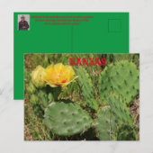 Kansas Cactus blooming Post Kaart (Voorkant / Achterkant)