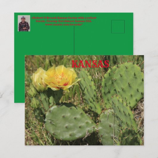 Kansas Cactus blooming Post Kaart (Voorkant / Achterkant)