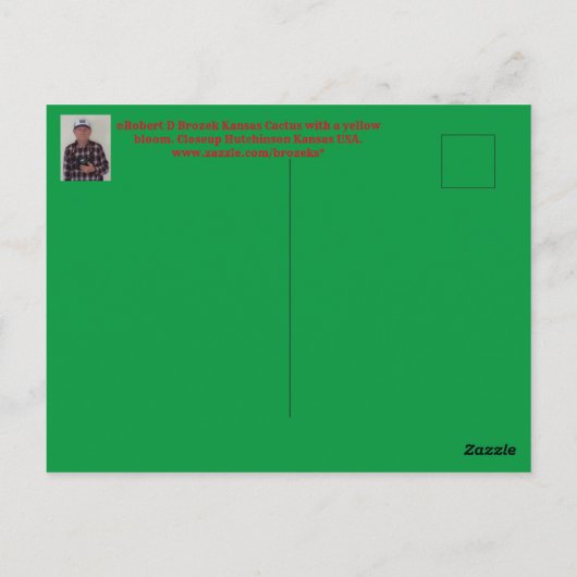 Kansas Cactus blooming Post Kaart (Achterkant)