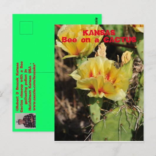Kansas Cactus met een bijen Briefkaart (Voorkant / Achterkant)