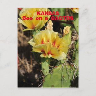 Kansas Cactus met een bijen Briefkaart