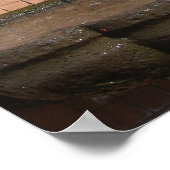 Kansas City kattenfontein Poster (Hoek)