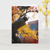 Kansas City Plaza Horse Fountain in het najaar Kaart (Gele Bloem)