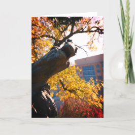 Kansas City Plaza Horse Fountain in het najaar Kaart