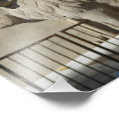 Kansas City Plaza Lion Foto Afdruk (Hoek)