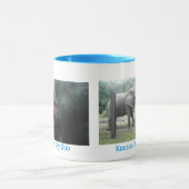 Kansas City Zoo Mok (Midden)