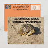 Kansas Country Box Shell Turtle Post Card Briefkaart (Voorkant / Achterkant)