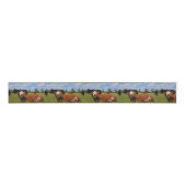 Kansas Country Cow's Ribbon Grosgrain Lint (Voorkant)