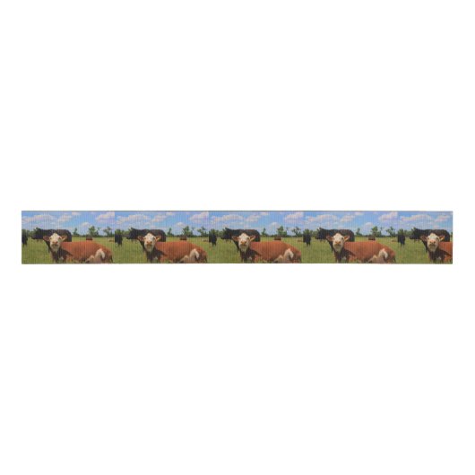 Kansas Country Cow's Ribbon Grosgrain Lint (Voorkant)