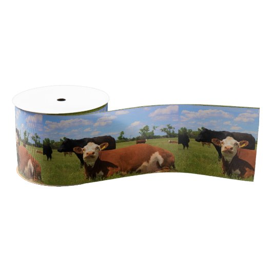 Kansas Country Cow's Ribbon Grosgrain Lint (Spoel)
