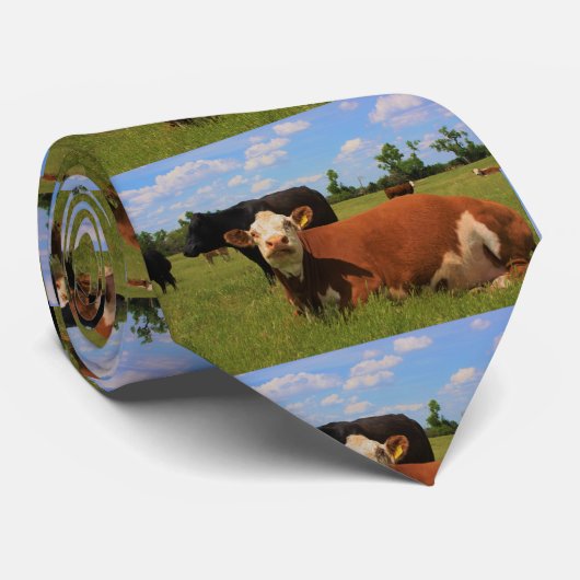 Kansas Country Cows STROPDAS (Opgerold)
