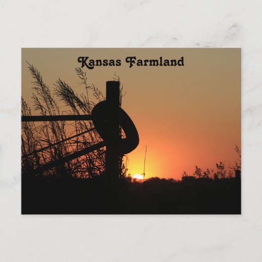 Kansas Country Farmland Sunset Briefkaart (Voorkant)