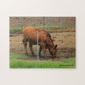 Kansas Country Koe Puzzle Legpuzzel (Horizontaal)