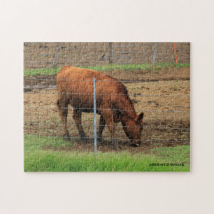 Kansas Country Koe Puzzle Legpuzzel