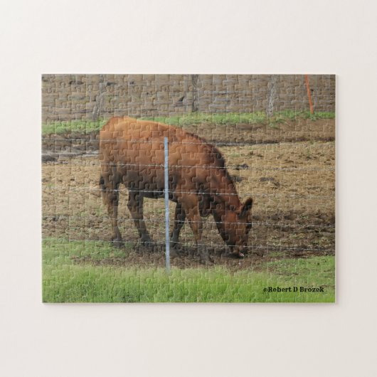 Kansas Country Koe Puzzle Legpuzzel (Horizontaal)