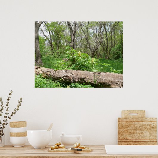 Kansas Countryside Poster (Keuken)