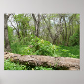 Kansas Countryside Poster (Voorkant)