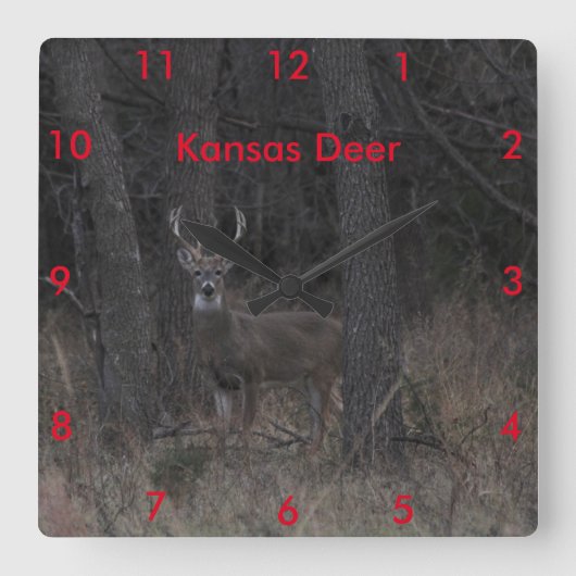 Kansas Deer CLOCK Vierkante Klok (Voorkant)