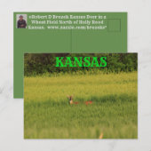 Kansas Deer in een Wheat Field Post Kaart. Briefkaart (Voorkant / Achterkant)