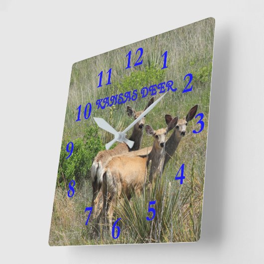 Kansas Deer Vierkante Klok (Hoek)