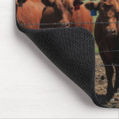 Kansas Farmer Muismat (Hoek)