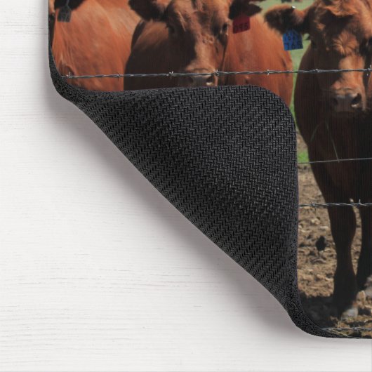 Kansas Farmer Muismat (Hoek)