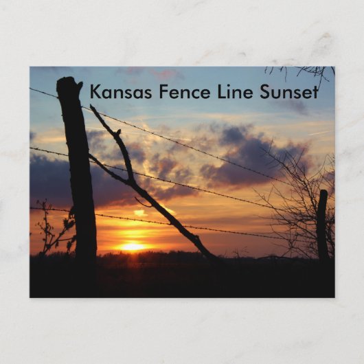 Kansas Fence Line Sunset Post Card Briefkaart (Voorkant)